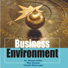 203 Business Environment