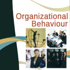 302 Organisational Behaviour